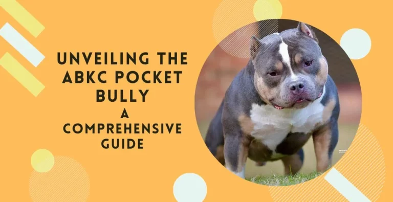 Unveiling the ABKC Pocket Bully: A Comprehensive Guide